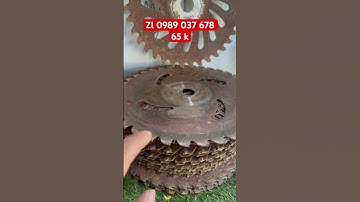 Lưỡi cắt cỏ hợp kim- Nhật Bãi