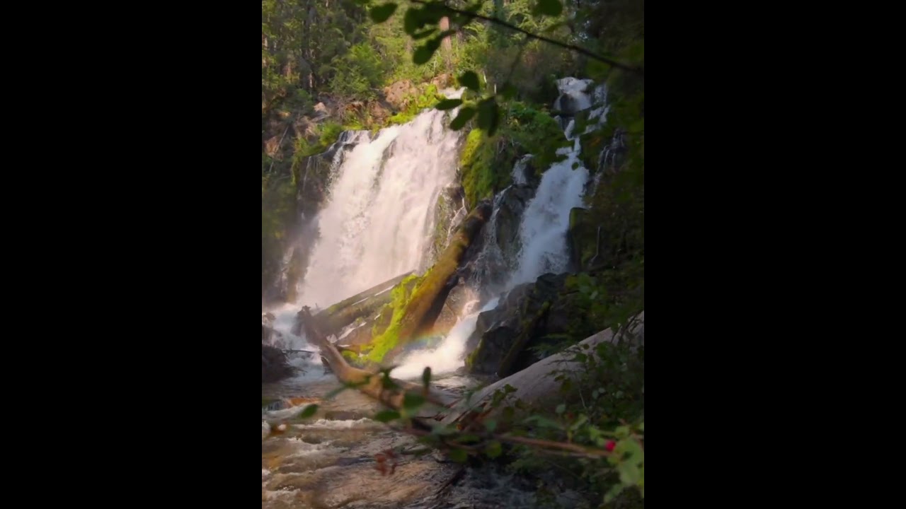 BA THẾ LỰC THÙ ĐỊCH CÙNG TẤN CÔNG MỘT VỊ CHÂN SƯ ĐÁNG KÍNH