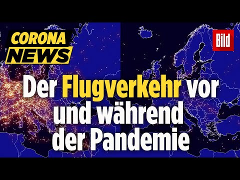 Video: Wie Emotionale Unterstützungstiere Den Flugverkehr Verändern - Matador Network