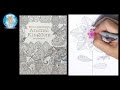 Millie Marotta's Animal Kingdom 50 Postcards Adult Coloring Book Flower - Family Toy Report