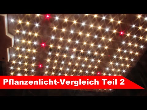 Video: Watter LED downlights is die beste?