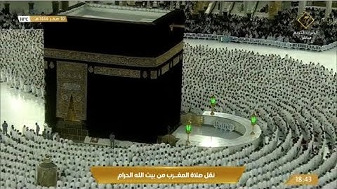 صلاة المغرب الثلاثاء 10-2-1444هـ الشيخ ماهر المعيقلي - من سورة الأحقاف [13-19]