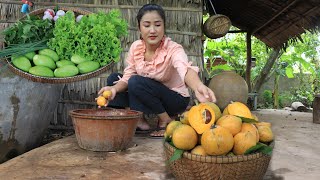 Countryside Life TV: Pick Eggfruit in my village with my brother / Eggfruit recipe