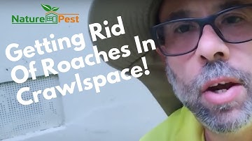 How To Prevent Roaches From Getting Into Your Home Through Your Crawl Space Without Chemicals