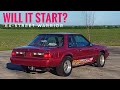 First start sortof in over 20 years 1993 mustang notch