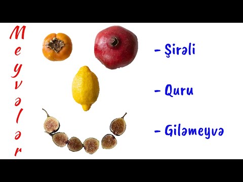 Meyvələr (şirəli,quru və giləmeyvə)