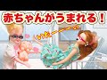 【リカちゃん】🤰🏻赤ちゃんがうまれる👶🏻‼️ママ、お腹が痛くなり急いで病院へ…🏥💦【バービー】
