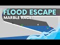 Flood Escape - Survival Algodoo Marble Race