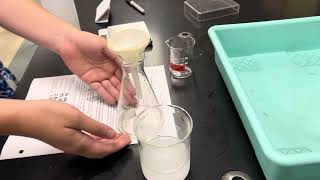 AP Chem Gravimetric Analysis Lab