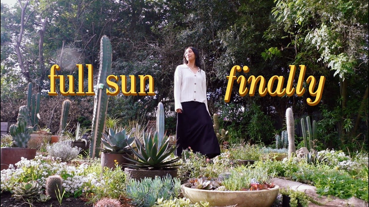 The Garden Upgrade That Solved Everything