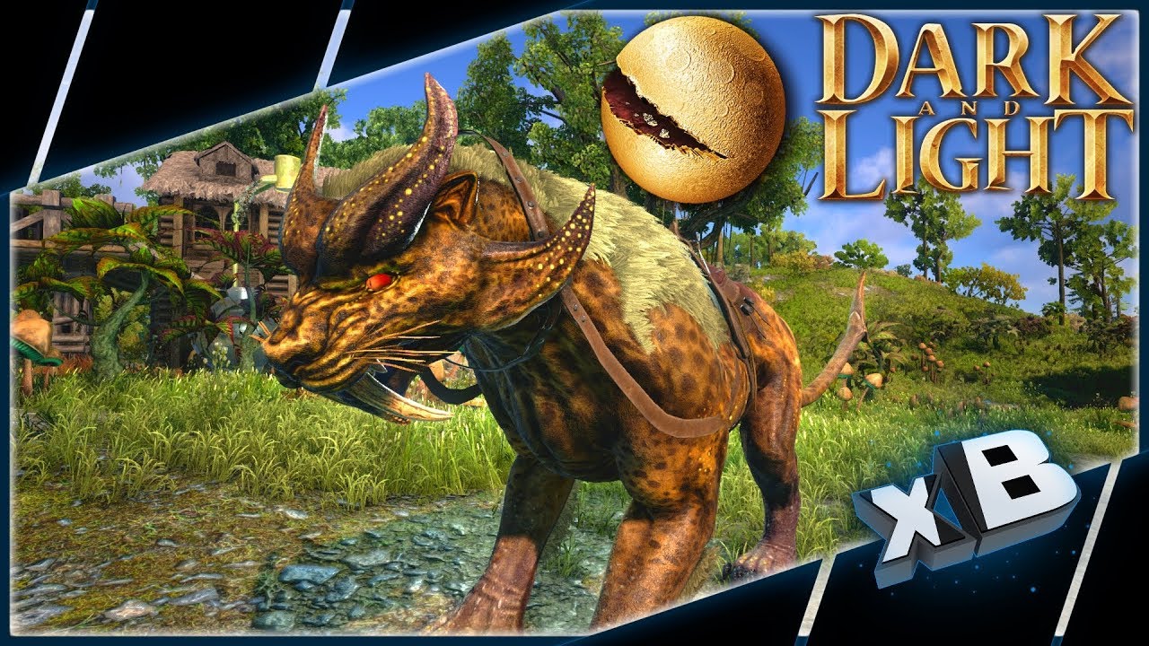 dark and light taming dragon dark and light taming dragon
