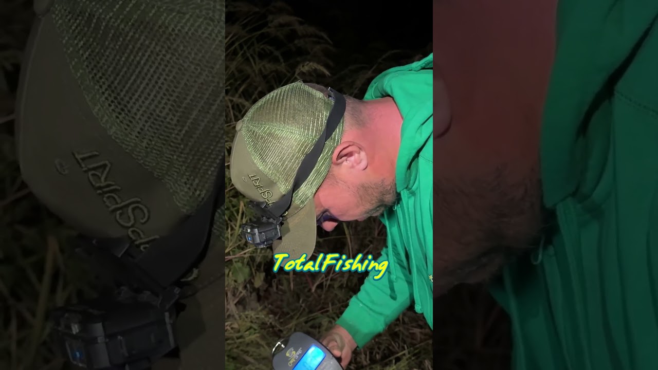 Crapii mari merita o cantarire exacta!