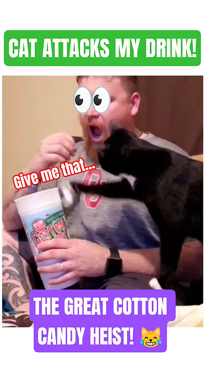 ULTIMATE Funny Cat Comp: Hungry Yells, Kitten Zoomies & Food Snatching! 😹🍗 #cat #cats #catfails
