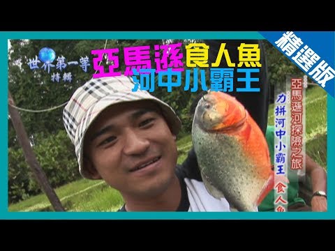 《世界第一等》536集【亞馬遜河】力拼河中小霸王 食人魚｜精選版