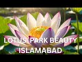 LOTUS LAKE FAMILY PARK | SHAKERPAREAN | ISLAMABAD | PAKISTAN