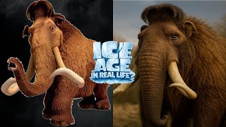 Ice Age Characters in Real Life | AI Transformation ❄️
