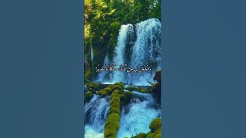 #القارئ فارس عباد#اذكرالله #المصحف #لايك #راحة_نفسية #اكسبلور