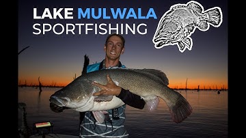 Lake Mulwala Sportfishing - Guided Murray Cod Fishing