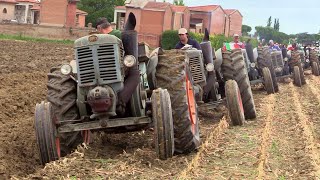 Baura 2023 (sabato)  Aratura d'epoca e Landini testacalda | Vintage hot bulb tractors plowing