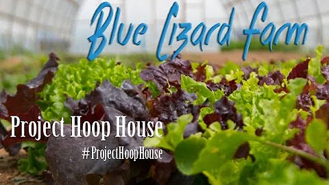 Blue Lizard Farm, Project Hoop House