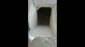 سورة الملك | الشيخ مشاري العفاسي | قرائتها تمنع عنك عذاب القبر احترس عذاب القبر لعلها تكون منجية