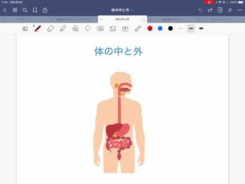 体の内側と外側という話