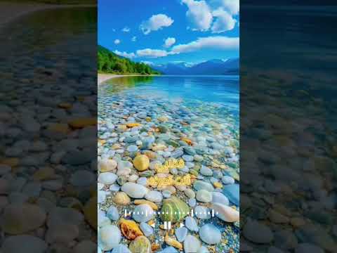 للمصمم حودة عبدو لتصميم المقاطع القرآنية ابتهالات بصوت الشيخ نصر الدين طوبار اكسبلور الزمالك