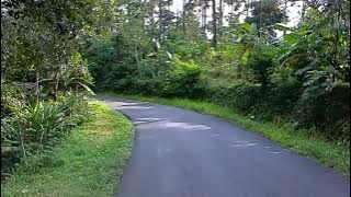 Jl. Lamuk, Larangan, Gambaran, Kaliwiro, Kabupaten Wonosobo, Jawa Tengah 56364