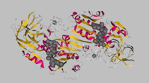 FLTK / VTK demo: View PDB file (molecules) & Save ScreenShots