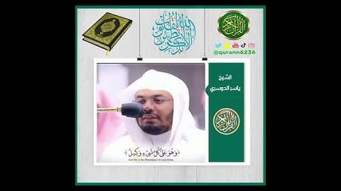 الشيخ: ياسر الدوسري، سورة الأنعام، آية (١٠٢).
