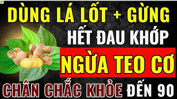 Người Cao Tuổi: Dùng LÁ LỐT + GỪNG Giảm Đau Khớp, Ngăn Teo Cơ, Hiệu Quả Thấy Rõ! |Sức Khỏe Tuổi Già