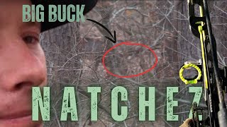 Two BUCKS at Natchez State Park || MISSISSIPPI RUT