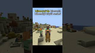 Minecraft Köylü İbrahim Yılmaz