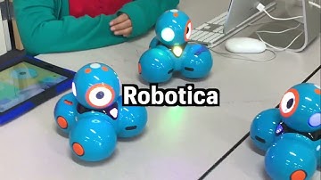 Rorimer EL Showcase video Spanish