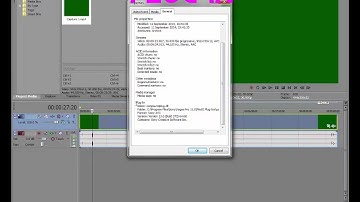 How To Fix Green Screen   Sony Vegas File