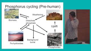 ECODIM 2016 - Dr. Jake Bailey - Polyphosphate Metabolism: from Deep Time to the Deep Ocean