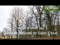 Walk around paris   un matin dhiver au domaine national de saintcloud