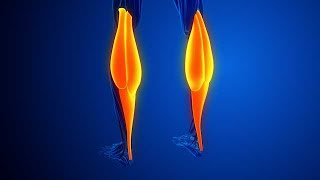 Pain and injury in the Gastrocnemius Muscles stock footage | stock video | Cinefootage
