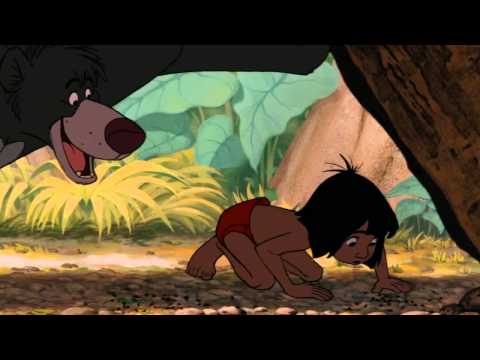 ვიდეო განწყობისათვის