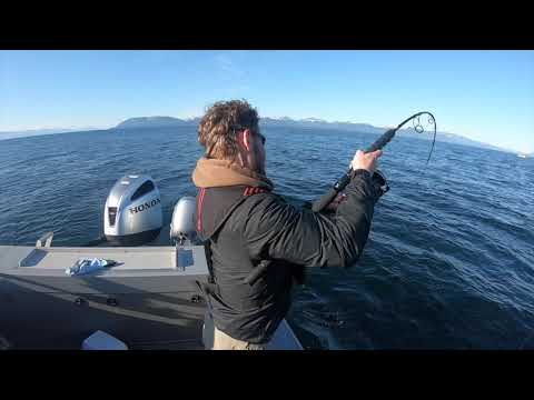 Alaskan Halibut & Salmon Fishing 