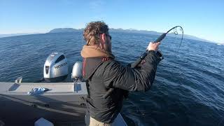 Pacific Cod on a Jig!  Alaska Fishing - Juneau Alaska! MAY 2020