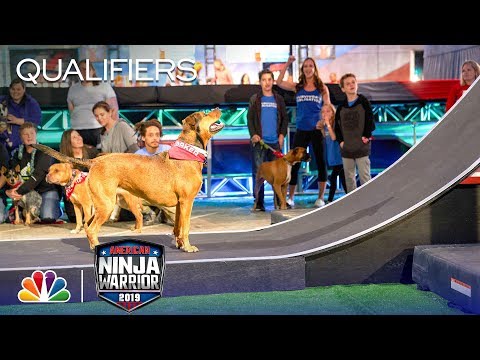 Adorable Pups Climb the Doggy Warped Wall - American Ninja Warrior Atlanta City Qualifiers 2019