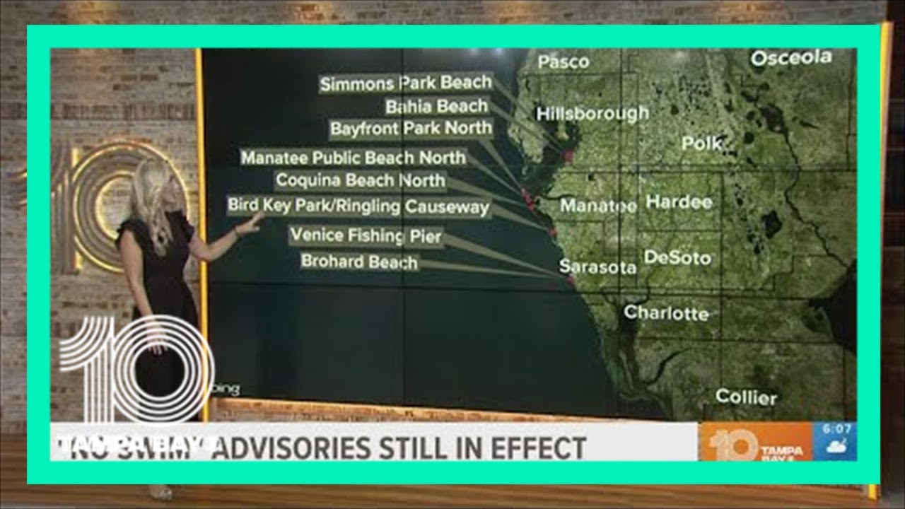 Swimming not recommended at 2 Hillsborough County beaches due to high  bacteria levels