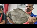 Big Black Pomfret | Fastest Slicing | Amazing Fish Cutting Skills | By Expert Cutter