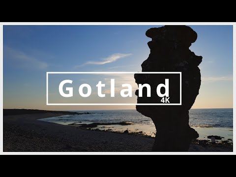 ვიდეო: Gotland Horse ჯიშის ჰიპოალერგიული, ჯანმრთელობისა და სიცოცხლის ხანგრძლივობა