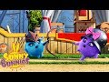 Cartoons for Children | SUNNY BUNNIES - ARCHERY | Funny Cartoons For Children