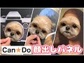 【100均】キャンドゥのペット用顔出しパネルでおやつタイム チワワ×シーズー