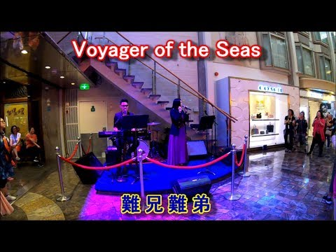 Voyager of the Seas - 〔難兄難弟〕Malaysian Penguins Duo