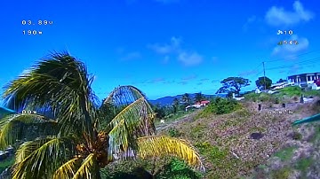 Fatshark Shark Byte Video Quality Test