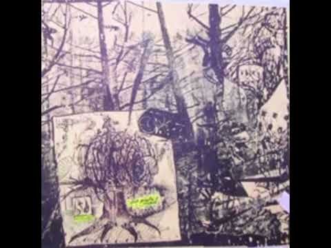 Deerhoof - Sophie’s Belly
